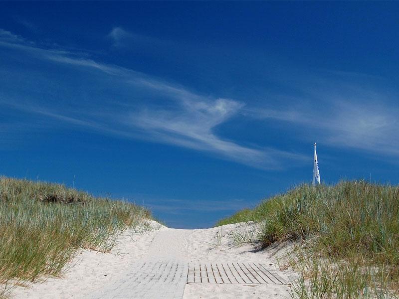 Olandia – słońce i wiatr na wakacje